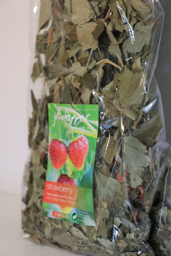 Aardbeiblad met aardbeien