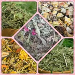 Proefpakketje konijn