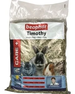 timothy hooi