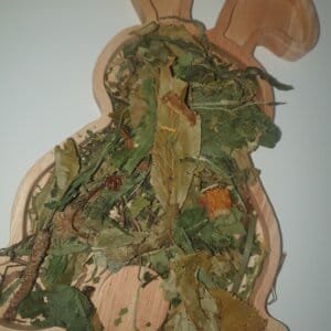 Urinewegen Kruidenmix