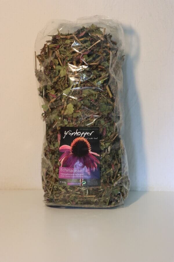 Echinacea