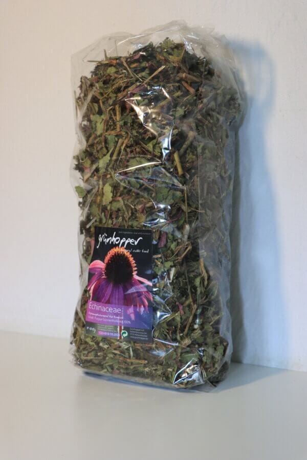 Echinacea