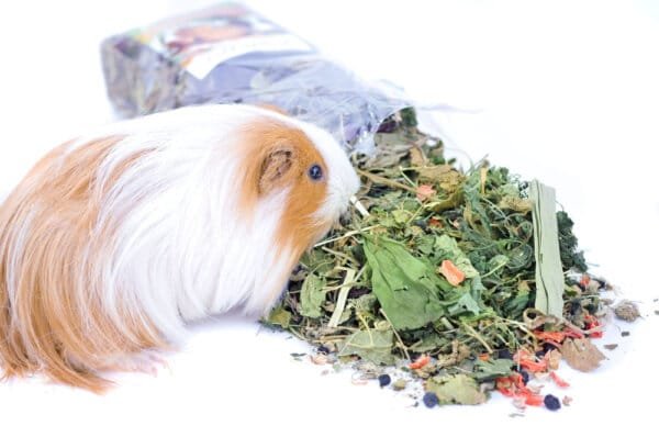 Cavia Kruidenmix Grunhopper